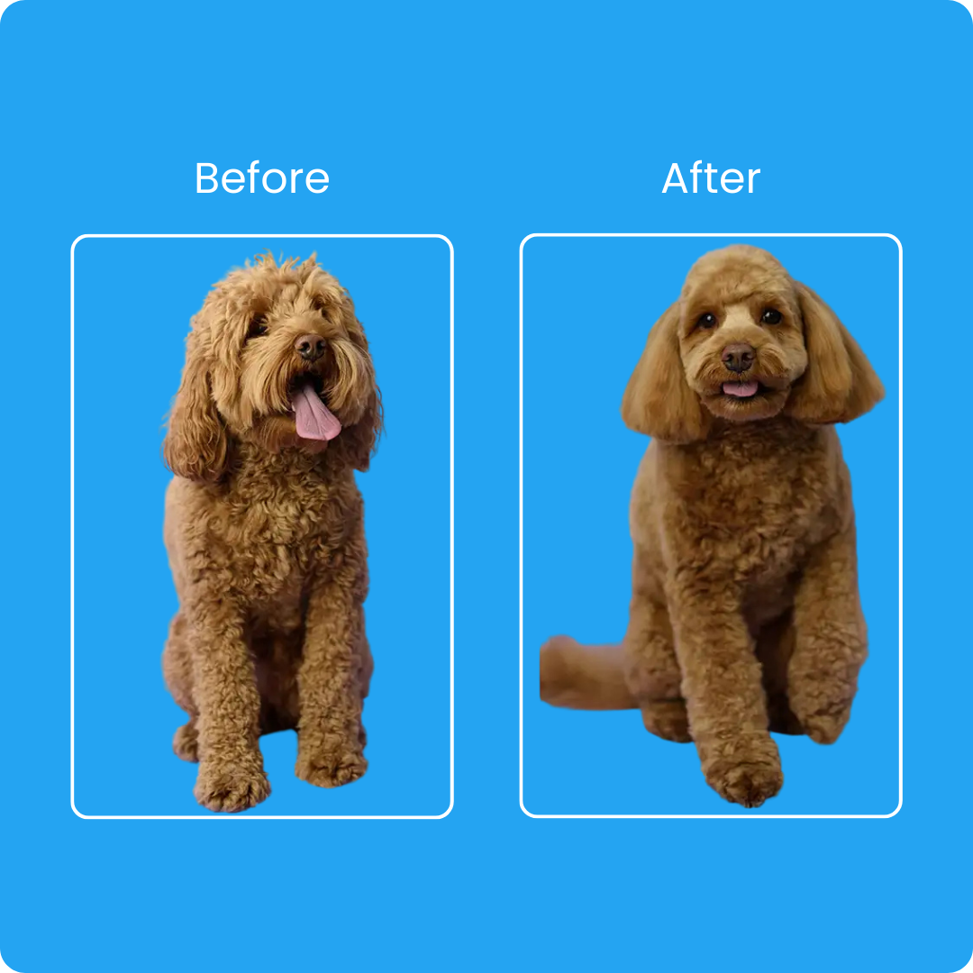 Grooming Vacuum Kit – 5-in-1 Pet Hair Remover & Clipper for Dogs & Cats
